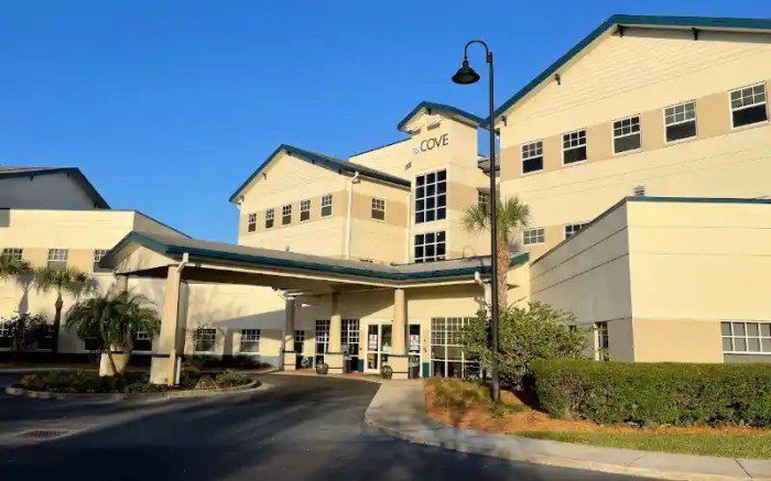 Cove behavioral health