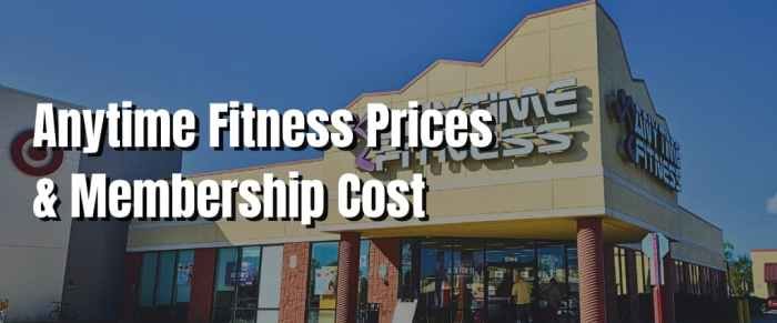 Anytime fitness how much a month