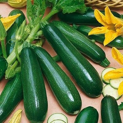 Zucchini seeds