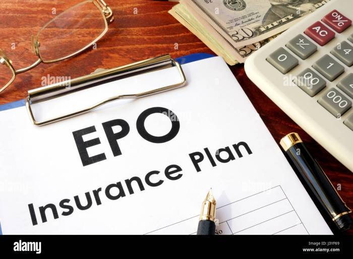 Hmo ppo insurance plans epo health care vs plan medical healthcare provider cost versus organization terms definitions preferred requires maintenance Hmo ppo insurance plans epo health care vs plan medical healthcare provider cost versus organization terms definitions preferred requires maintenance