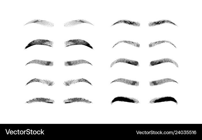 Hollywood beauty eyebrow